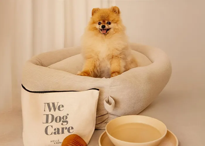 Le Blanc, A Gran Melia - The Leading Of The World (adults Only) Hotel 5*